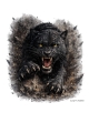 T-Shirt Motiv „Black Panther Fury“ (Download PNG, transparent)