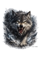 T-Shirt Motiv „Wolf Instinct“ (Download PNG, transparent)