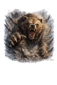 T-Shirt Motiv „Bear Force – Graphic Style“ (Download PNG, transparent)